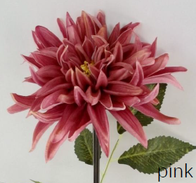 Schermafbeelding 2026-06-04 110913